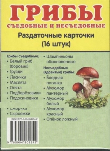 Раздаточные карточки "Грибы съедобные и не съедобные" - fgospostavki.ru - Воронеж