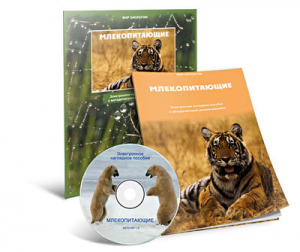 Электронное наглядное пособие «Млекопитающие» - fgospostavki.ru - Воронеж