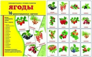 Демонстрационные карточки "Ягоды" - fgospostavki.ru - Воронеж