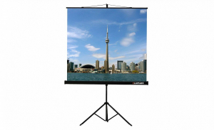 Проекционный экран на штативе Lumien Eco View (LEV-100105) 160x160 см - fgospostavki.ru - Воронеж