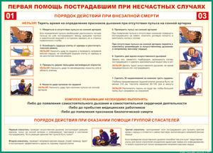 Таблица "Порядок действий при внезапной смерти" (100х140 сантиметров, винил) - fgospostavki.ru - Воронеж