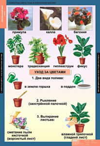 Комплект таблиц. Окружающий мир 1 класс. - fgospostavki.ru - Воронеж