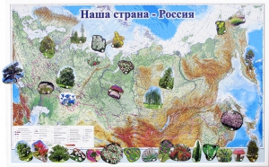 Магнитные карточки "Растения" - fgospostavki.ru - Воронеж