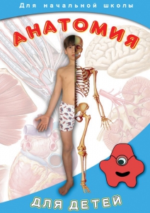 DVD "Анатомия для детей" - fgospostavki.ru - Воронеж