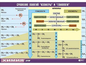 Таблица демонстрационная "Сравнение понятий изомер и гомолог" (винил 70x100) - fgospostavki.ru - Воронеж