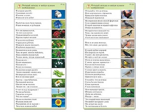 Комплект карточек (10) "Обучающий калейдоскоп. Природа" - fgospostavki.ru - Воронеж