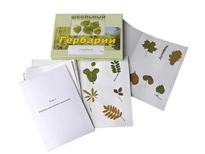 Гербарий "Морфология растений" (6 тем, 30 видов) - fgospostavki.ru - Воронеж