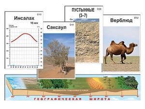 Модель-аппликация "Природные зоны" - fgospostavki.ru - Воронеж