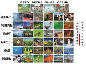 Фенологические наблюдения - fgospostavki.ru - Воронеж