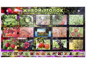 Комплект оборудования "Живой уголок" (растения) с тифлопереводом и сурдокомментариями - fgospostavki.ru - Воронеж