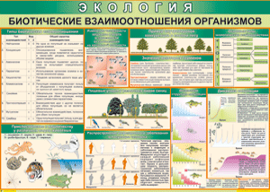 Таблица "Биотические взаимоотношения организмов" (100х140 сантиметров, винил) - fgospostavki.ru - Воронеж