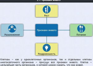 Интерактивные курсы. Биология 5 класс. Базовый - fgospostavki.ru - Воронеж