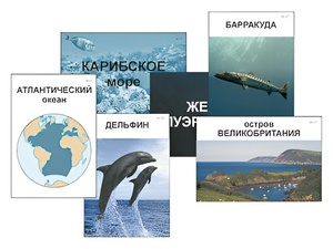 Модель-аппликация "Океаны. Знакомство" (ламинированная) - fgospostavki.ru - Воронеж