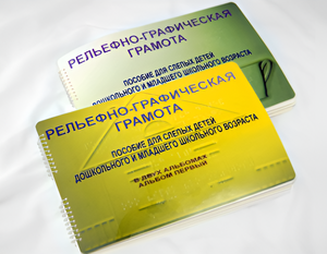 Пособие для слабовидящих детей - Рельефно-графическая грамота для слепых детей дошкольного и младшего школьного возраста - fgospostavki.ru - Воронеж