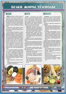 Стенд "Белки. Жиры. Углеводы" - fgospostavki.ru - Воронеж
