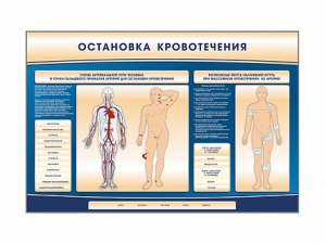 Электрифицированный стенд-тренажер "Остановка кровотечения" - fgospostavki.ru - Воронеж