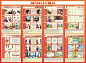 Стенд "Личная гигиена" - fgospostavki.ru - Воронеж