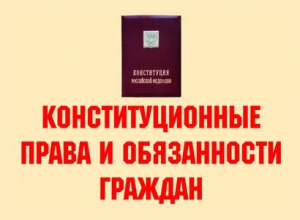 Комплект плакатов "Конституционные права и обязанности граждан" - fgospostavki.ru - Воронеж