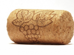 Роторасширитель Пробка - fgospostavki.ru - Воронеж