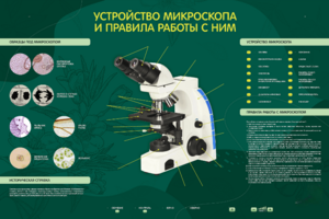 Электрифицированный стенд "Устройство микроскопа и правила работы c ним" - fgospostavki.ru - Воронеж
