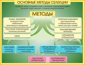 Стенд "Методы селекции и биотехнологии" - fgospostavki.ru - Воронеж