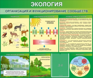 Стенд "Экология. Организация и функционирование сообществ" - fgospostavki.ru - Воронеж