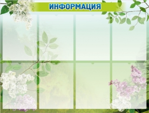 Стенд "Информация" Вариант 13 - fgospostavki.ru - Воронеж