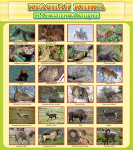 Стенд "Красная книга - млекопитающие" - fgospostavki.ru - Воронеж