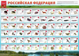 Стенд "Красная книга РФ" - fgospostavki.ru - Воронеж