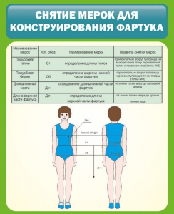 Стенд "Снятие мерок для конструирования фартука" - fgospostavki.ru - Воронеж