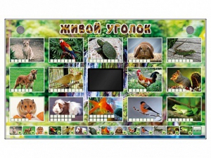 Комплект оборудования "Живой уголок" (животные) - fgospostavki.ru - Воронеж