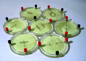 Демонстрационный комплект «Силовые линии электрического поля разных систем зарядов» - fgospostavki.ru - Воронеж