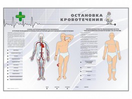 Электрифицированный стенд "Остановка кровотечения" - fgospostavki.ru - Воронеж