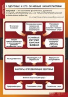 Комплект таблиц. ОБЖ. Здоровый образ жизни. - fgospostavki.ru - Воронеж
