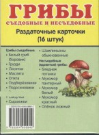 Раздаточные карточки "Грибы съедобные и не съедобные" - fgospostavki.ru - Воронеж