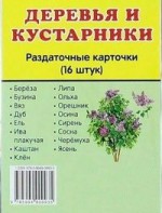 Раздаточные карточки "Деревья и кустарники" - fgospostavki.ru - Воронеж