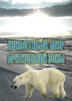 DVD "Животный мир Арктической зоны" - fgospostavki.ru - Воронеж