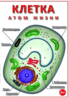 DVD "Клетка - "атом жизни" - fgospostavki.ru - Воронеж