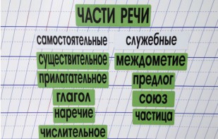 Набор магнитных карточек "Части речи" (фон зелёный) - fgospostavki.ru - Воронеж