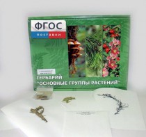 Гербарий "Основные группы растений" (52 листа) - fgospostavki.ru - Воронеж
