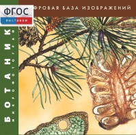 Ботаника. Микрофотографии. (Цифровая база изображений) - fgospostavki.ru - Воронеж
