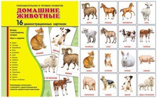 Демонстрационные карточки "Домашние животные" - fgospostavki.ru - Воронеж