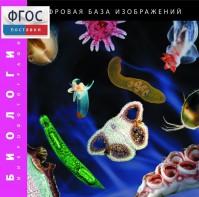 Биология. Микрофотографии. (Цифровая база изображений) - fgospostavki.ru - Воронеж