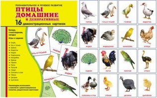 Демонстрационные карточки "Птицы домашние и декоративные" - fgospostavki.ru - Воронеж