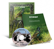 Электронное наглядное пособие «Птицы» - fgospostavki.ru - Воронеж