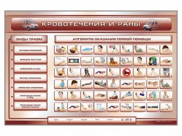 Трехсекционный базовый комплект "Травмы. Кровотечения. Ожоги" для учащихся общеобразовательных учреждений - fgospostavki.ru - Воронеж