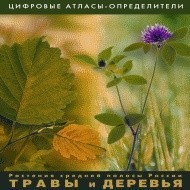 Растения средней полосы России "Травы и Деревья". (Цифровые атласы-определители) - fgospostavki.ru - Воронеж
