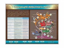 Интерактивный электрифицированный стенд "Эволюция животного мира" - fgospostavki.ru - Воронеж