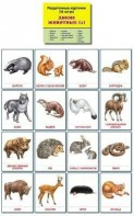 Раздаточные карточки "Дикие животные (1)" - fgospostavki.ru - Воронеж