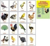 Раздаточные карточки "Птицы домашние и декоративные" - fgospostavki.ru - Воронеж